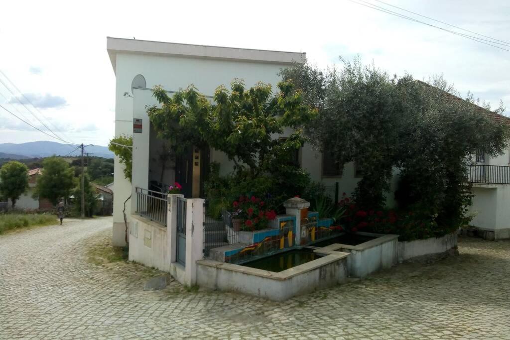 Casa Da Oliveira Apartment Milhao Bagian luar foto