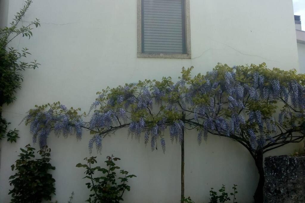 Casa Da Oliveira Apartment Milhao Bagian luar foto