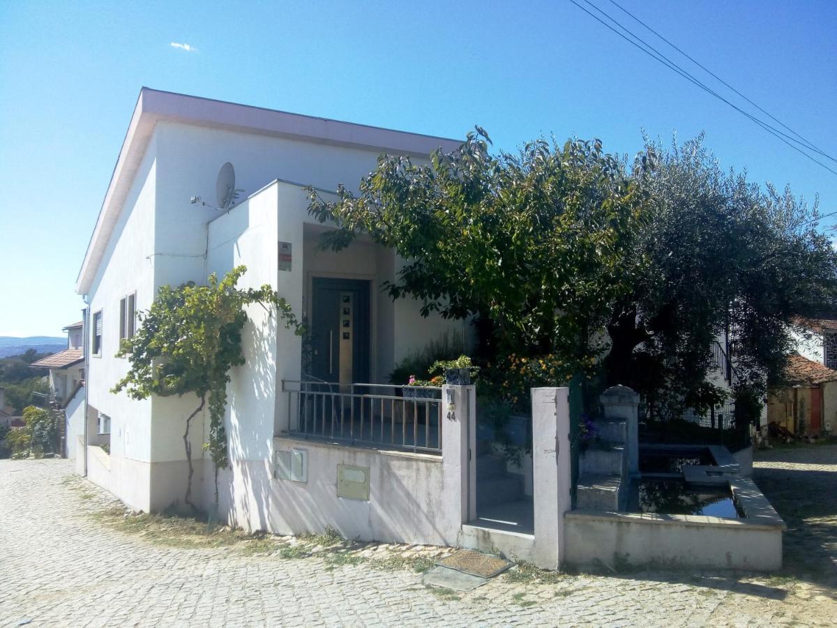Casa Da Oliveira Apartment Milhao Bagian luar foto